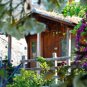 Agora , Kapikiri Turkey